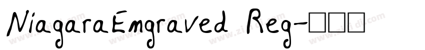 NiagaraEngraved Reg字体转换